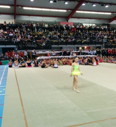 GRS Brumath 2014 – (5)